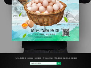 土雞蛋廣告掛畫設(shè)計(jì) 攜手軟件開發(fā)呈現(xiàn)